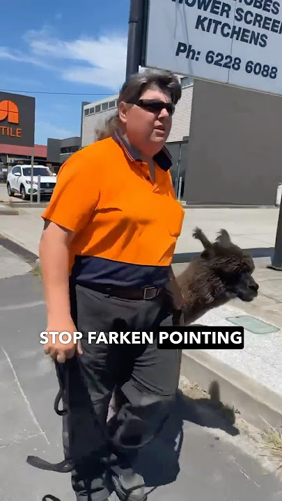 Most Aussie Interaction Ever (No Commentary Needed).