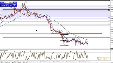 Wayne McDonell: Live Forex Strategy Session - Fundamental and Technical Analysis
