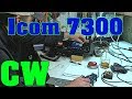 icOm 7300 - cW