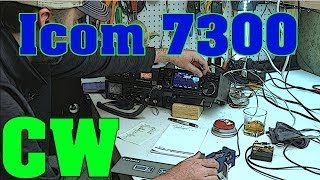 icOm 7300 - cW