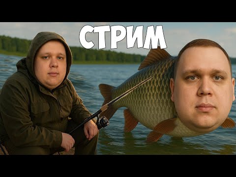  Стрим - для тех кто не спит, рыбачим, общаемся -  Стрим - для тех кто не спит, рыбачим, общаемся