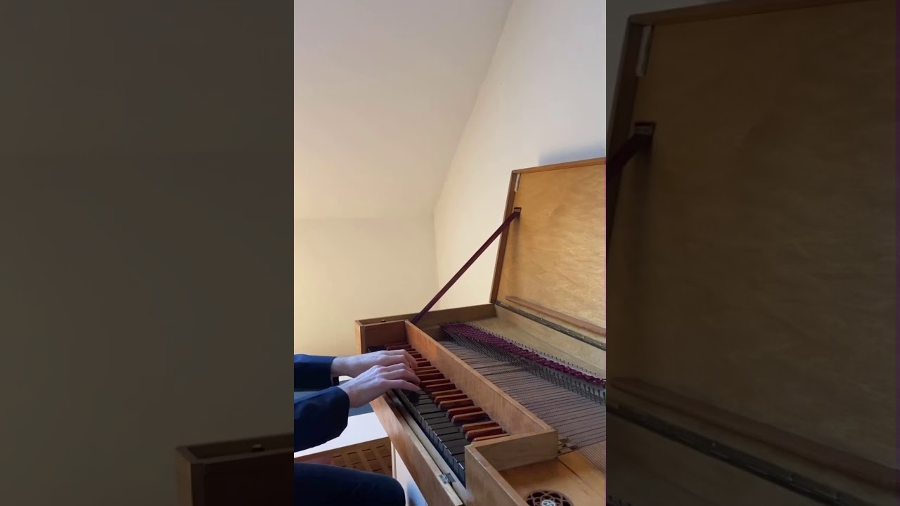 Guarda Bach  - Goldberg Variations, "Bergamasca" su YouTube