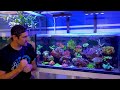 The kitchen sink reef tank   100 gallons of diverse corals