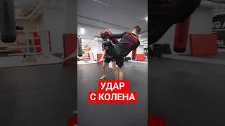 Лоу-кик, ТИП,  кикбоксинг | Красивый удар с колена