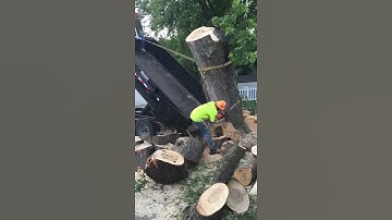 How to load a tree stump