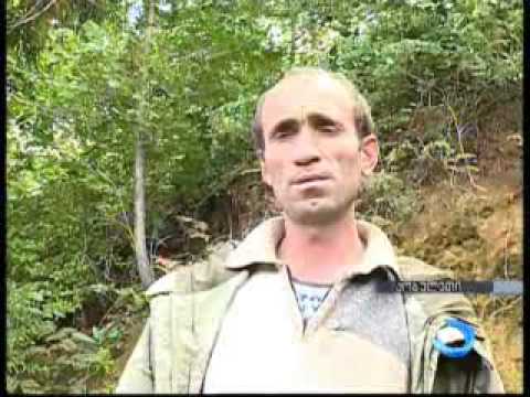 ეკომიგრანტების 2 ოჯახი წალკიდან აჭარაში დაბრუნდა