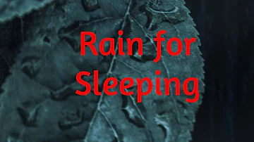 Rain Sounds For Sleeping Insomnia | Sleep Instantly To Real Rain Falling | Relax, Lower Stress