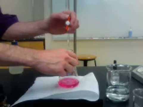 Methyl Red Titration