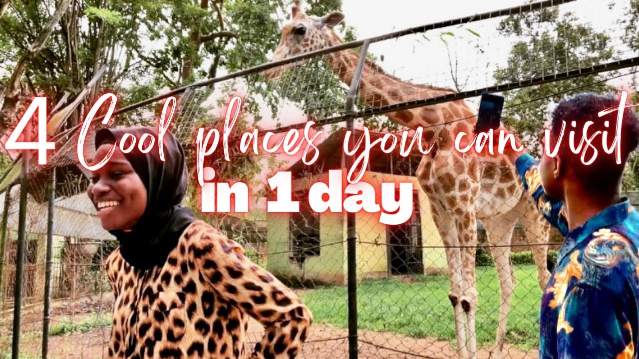 4 Places You Can Visit In A Day In Ibadan Fun Places In Ibadan YouTube 4-places-you-can-visit-in-a-day-in-ibadan-fun-places-in-ibadan-youtube