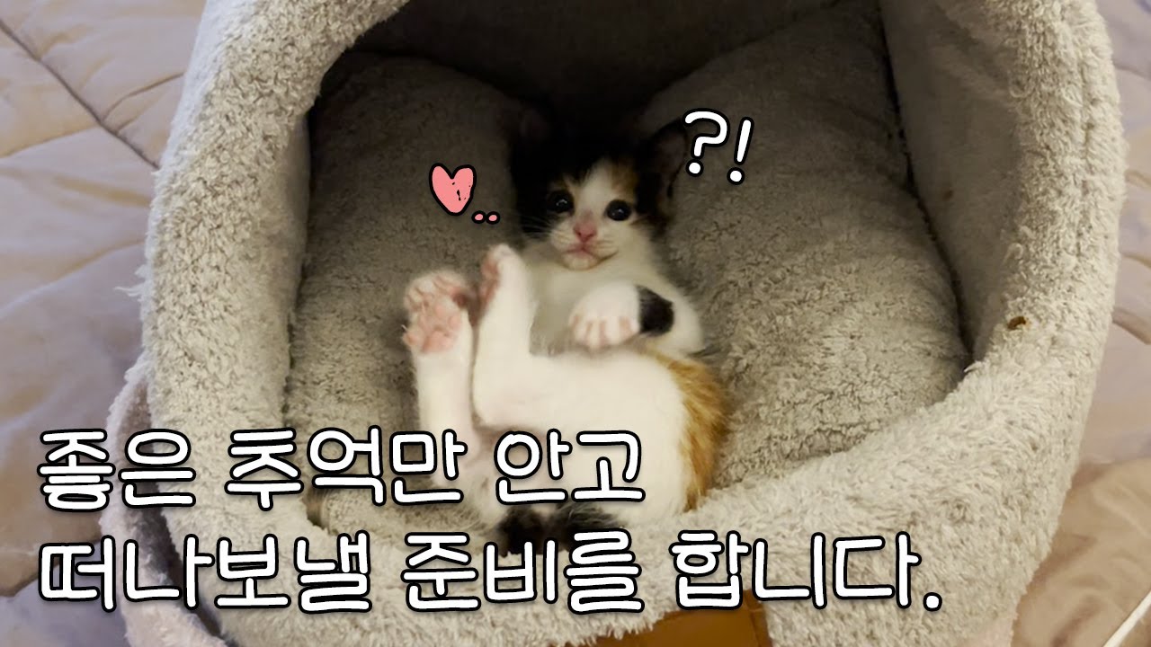 좋은 추억만 안고 떠나보낼 준비를 합니다.