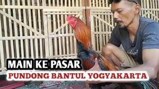 Visiting Pundong Market, Bantul, Yogyakarta - ABG blue coop