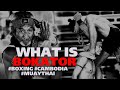 The Hidden Art of Bokator: Uncovering the Secrets of Cambodia&#39;s Deadly Martial Arts!