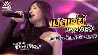 ตาฮักน้อ | โสดผัวทิ้ง | คอพับ - แคท มอซอ | Cover แสดงสด 4K