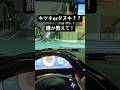 世田谷の住宅街で遭遇した動物とは??#shorts #ferrariroma