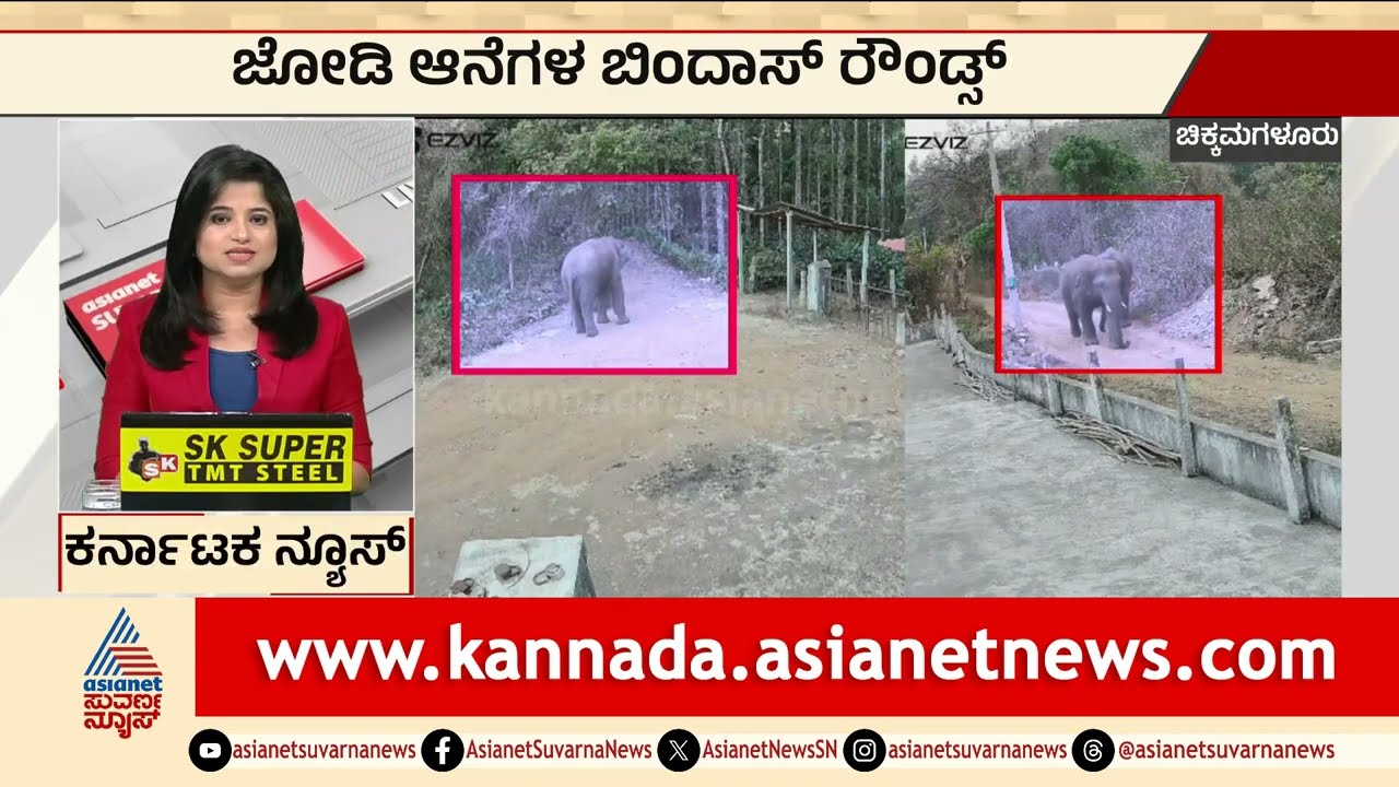 ಚಿಕ್ಕಮಗಳೂರಿನಲ್ಲಿ ಜೋಡಿ ಆನೆಗಳ ಬಿಂದಾಸ್ ಓಡಾಟ | Chikkamagaluru wild elephant | Karnataka | Suvarna News