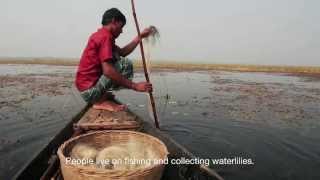 Bhuter beel (wetland), Khulna, Bangladesh