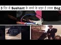 Sushant के Dog का ये Video कर देगा आपको Emotional| Sushant Singh Rajput's Pet Dog Crying Video