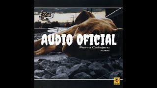 Perro Callejero - Rolita de Amor (audio oficial) chords