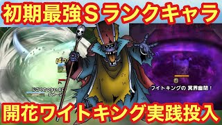 【ドラクエタクト】初期最強Ｓランクのワイトキングフルパネル開放！闘技場でも使えるのか実践で試します！