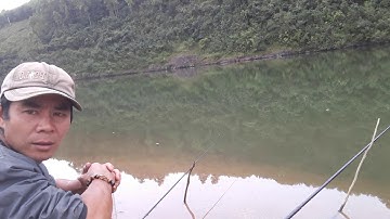 Đi săn cá đêm - Hai cha con trốn vợ đi câu cá và cái kết