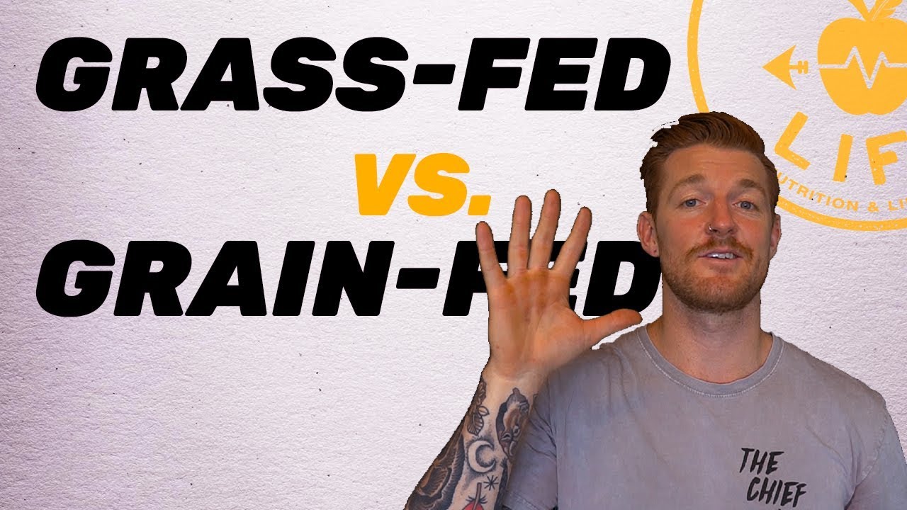 Is Grass or Grain Fed Beef Better? The Benefits of Choosing the Right