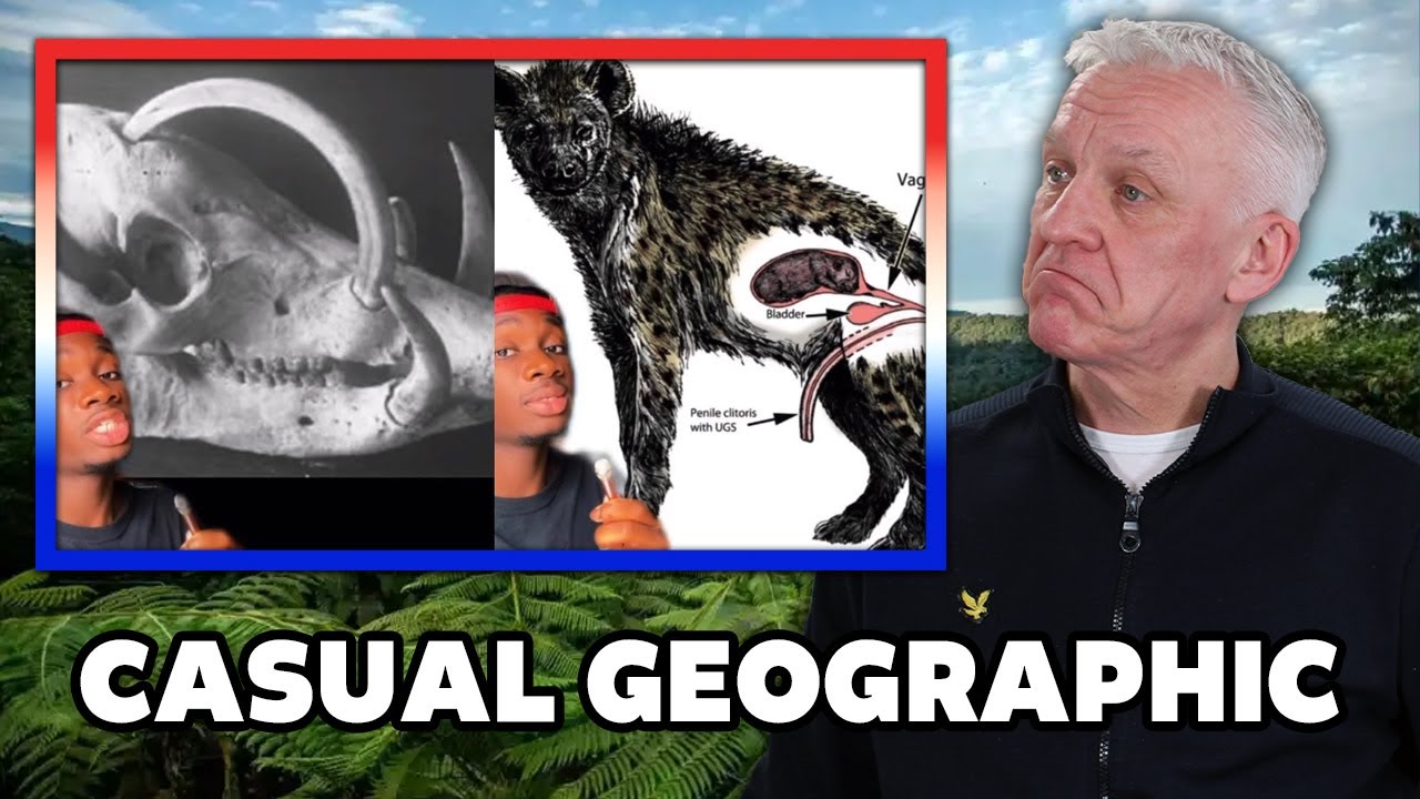 Животные, получившие средний палец от эволюции РЕАКЦИЯ | ОФИСНЫЕ ПАРНИ РЕАКЦИЯ!!