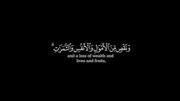 كرومة شاشة سوداء بصوت الشيخ #راشد_الاركاني#سورة_البقرة