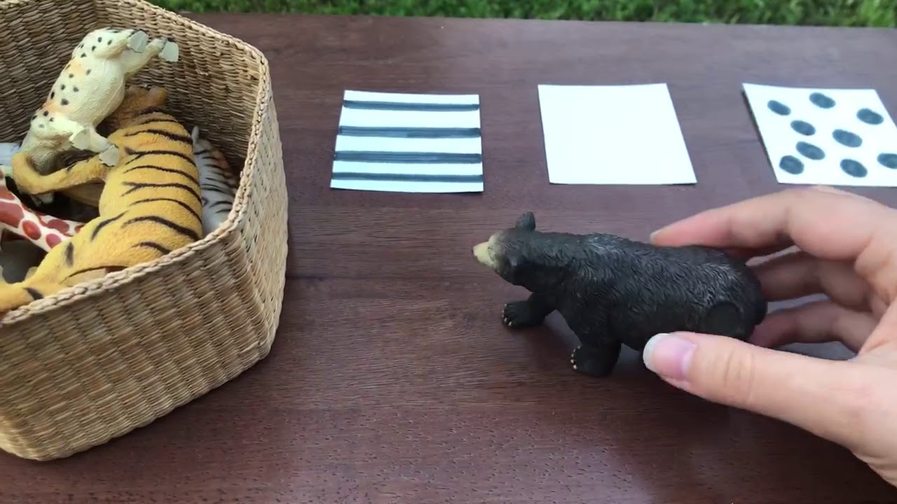 Animal Sorting Activity - YouTube