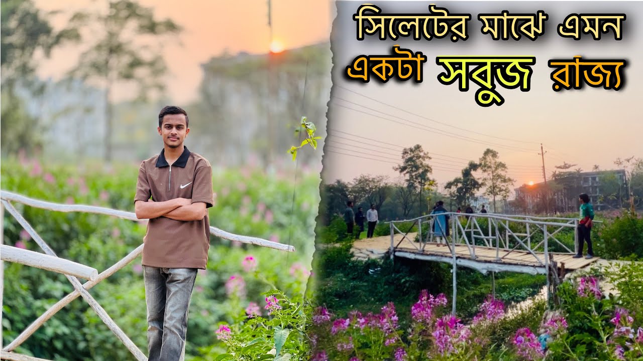 সিলেটের বুকের মাঝে এমন একটা সবুজ রাজ্য আছে…  TravelShort
