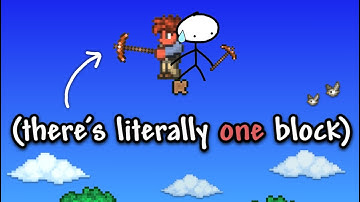 We ruined Terraria with a Skyblock Randomizer (ft Ilikecheese)