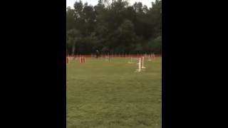 Agility 3 jumps