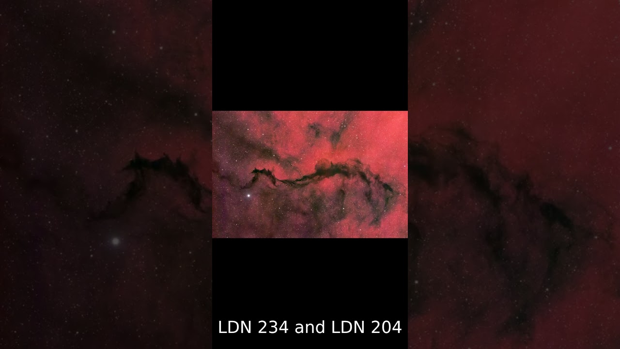 A Dark Veil in Ophiuchus 