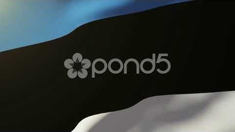 Estonia Flag Waving In The Wind. Looping Sun Rises Style. Animation Loop