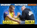 DANIEL PROCOPCIUC vs PETER MARGARINT | SPARRING MOTIVATION 2021