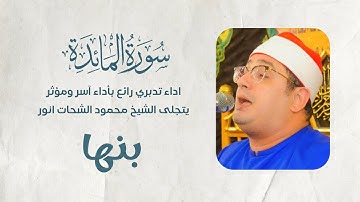 سورة المائدة | اداء تدبري رائع بأداء آسر ومؤثر يتجلى الشيخ #محمود_الشحات| بنها - محافظة القليوبية