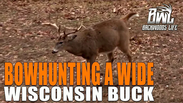 BOWHUNTING A WIDE WISCONSIN BUCK!