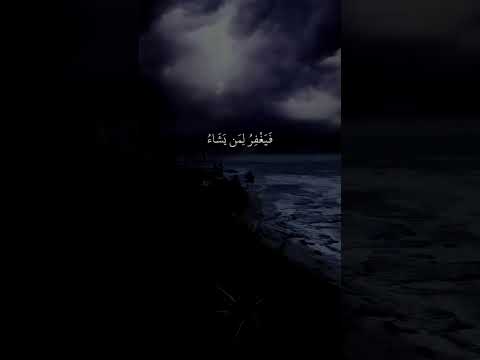 سورة البقرة القارئ بلال دربالي