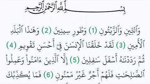سورة التين مكتوبة كاملة بالتشكيل بدون صوت