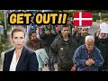 How denmark solved the immigration crisis