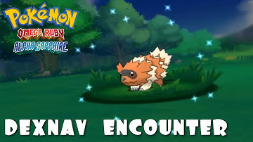 Shiny Zigzagoon at 40 DexNav Encounters! - Pokémon (ORAS) Shiny Hunt Reaction