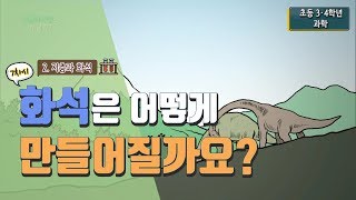 [초등 과학 4-1] 2. 지층과 화석 - 7차시. 화석은 어떻게 만들어질까요?