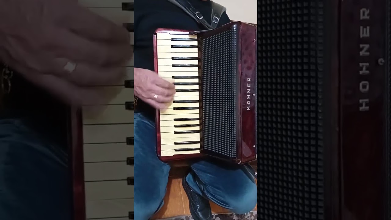 Hohner Verdi 2 bandon sita acord 2025 Sandulache