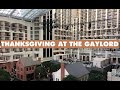 Gaylord National Resort National Harbor Walk Around on ...