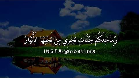 (اسمع بقلبك) يا ايها الذين امنو توبو //القارئ اسلام صبحي ❤️👌