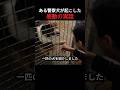 ある警察犬が起こした感動の実話