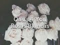 Oasis 4 You - Rosas de mi Jardín [Letra]