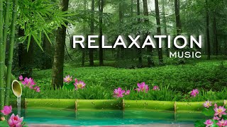 Relaksasi Alam Suara Burung Merdu Di Hutan, Burung Tekukur🎶- Musik Santai Relaksasi - Video HD screenshot 3