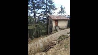 6 Biswa Drive-In Plot For Sale in Jakhu, Shimla! #99yard #realestate #plot #property #home  #nature