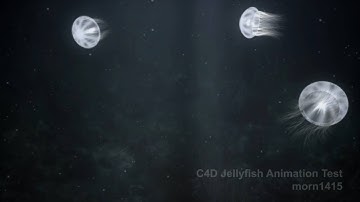Jellyfish Animation Test HD