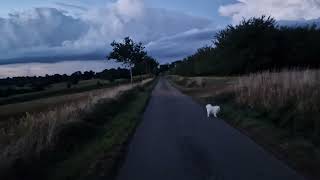 3. Cloud chasing with the boys.#frenchlife #lifeinfrance #ruralfrance ##spitz ##cat #clouds 